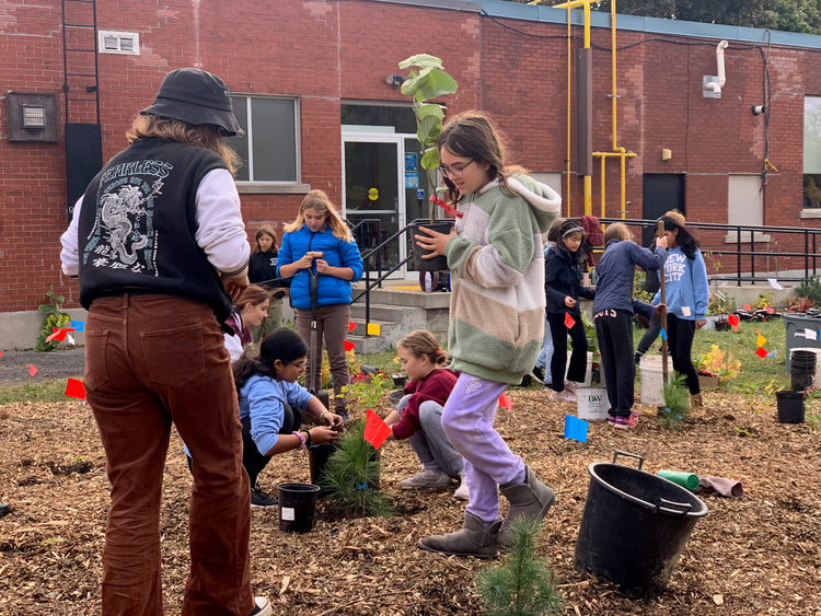 Portsmouth Community Little Forest