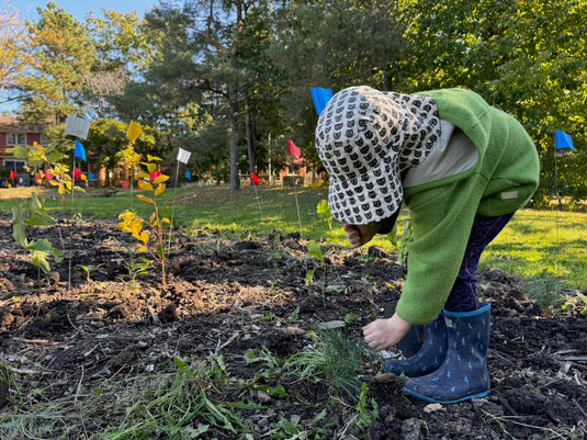 child planting a tree