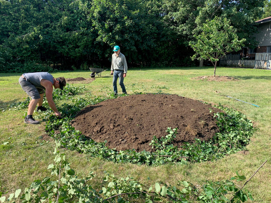 prepared forest floor for pocket forest