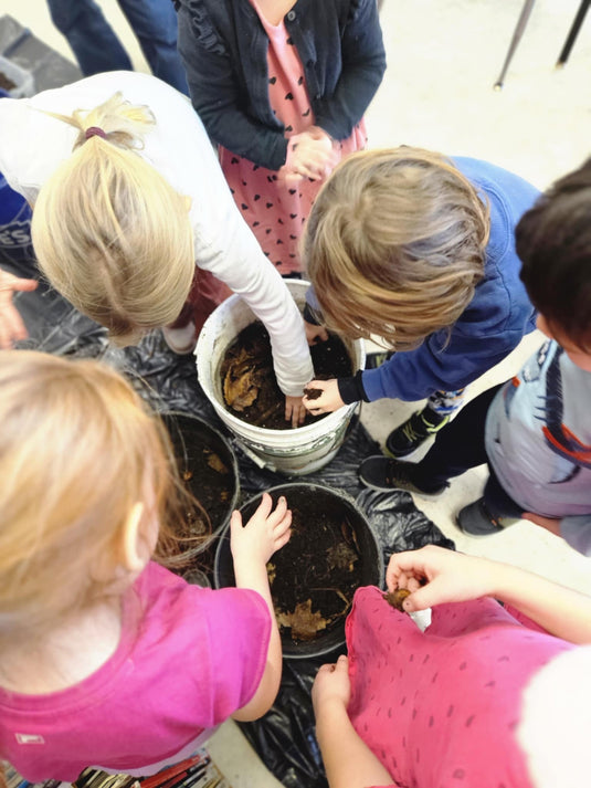 children planting tree seeds
