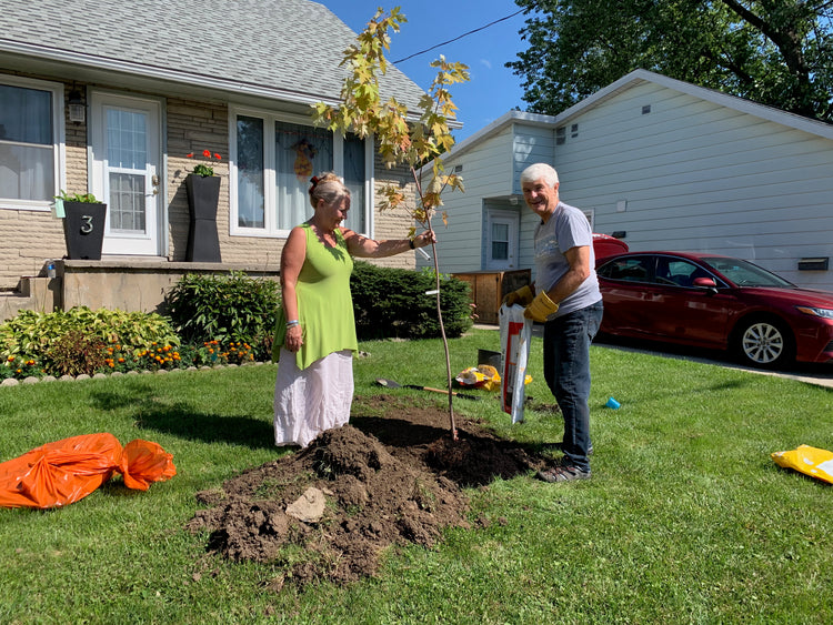 Tree planting at one home in the Kingscourt neighbourhood
