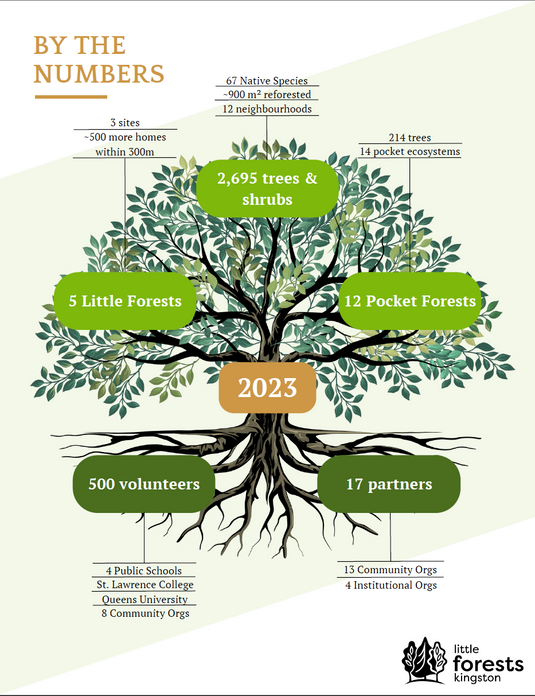 Little Forests Kingston 2023 impact. Planting by the numbers.