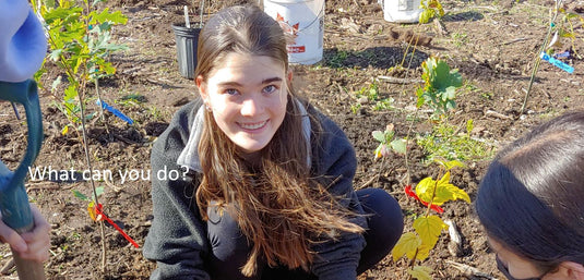 Youth planting a tree