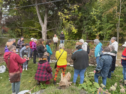 DJB powerline bird sanctuary hedgerow