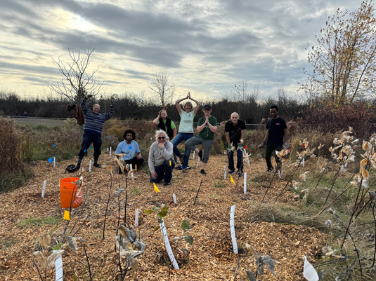 Our 2024 Pocket Forest are settling in for winter